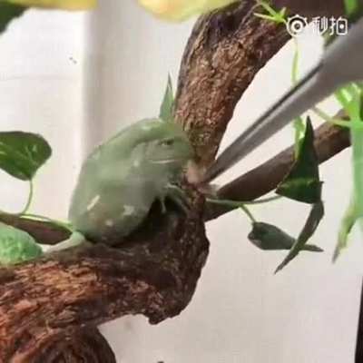 "Dont bug me" it said