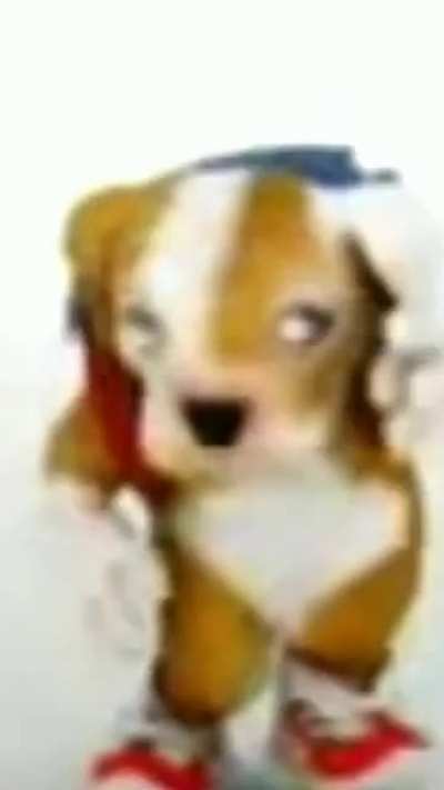 the dog