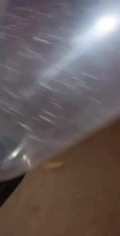 He found a dry condom and decided to fuck with it