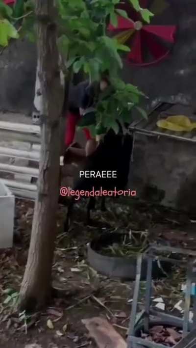 Eu_nvr
