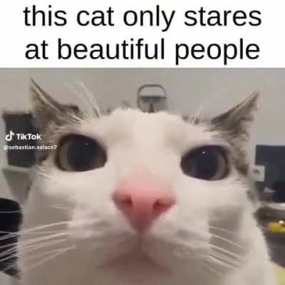 @everyone