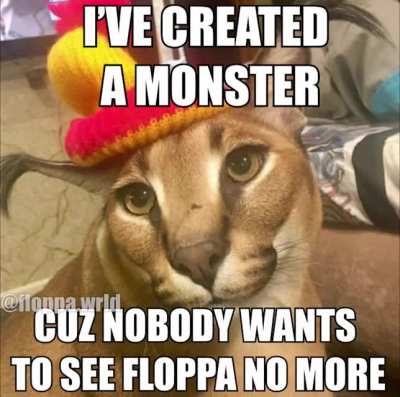 Without Floppa