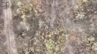 🌐 Place: #Staritsya
🗓 Date: ~19.10.2024
🇺🇦 Unit: 2 BO, 101 OBrO GSH 
📌 Geolocation: 
📂 Description: Destruction of Russian soldiers who ran in the forest, tried to escape from the Ukrainian drone, but could not, "gifts" fall from above. Near the village o