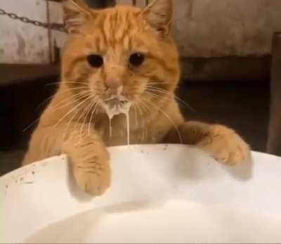 Caught in the act