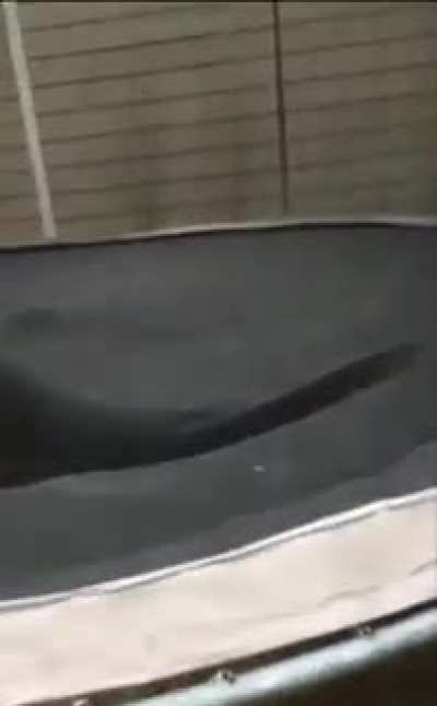 HMFT after i jump off this 20ft roof onto a trampoline