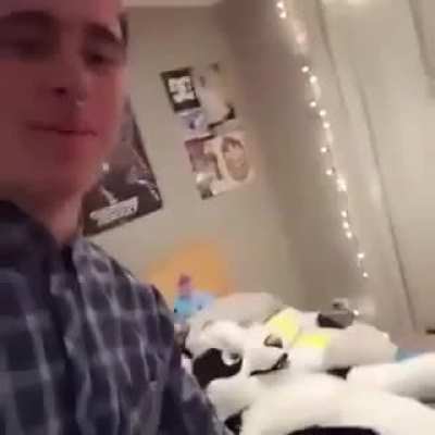 Stuffed_irl