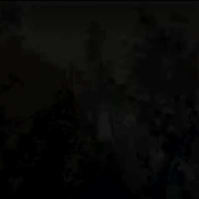 Slenderman un webon
