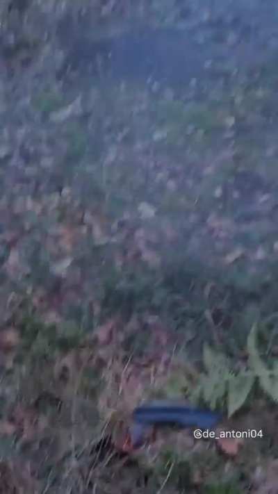 rally car crashes into barrier and engine explodes
