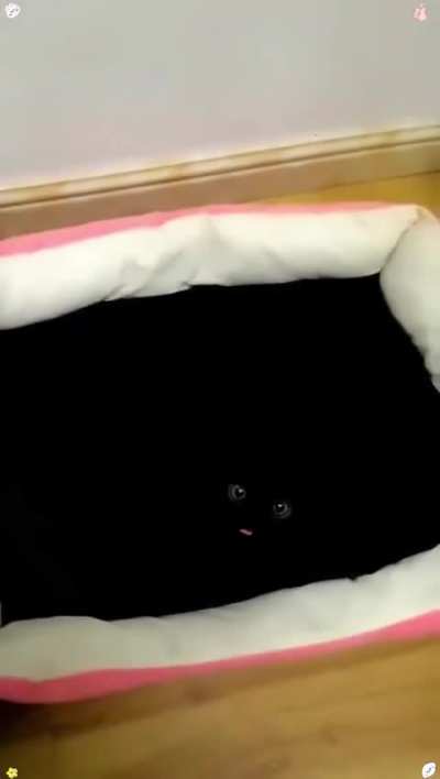 The black hole accepts your offering