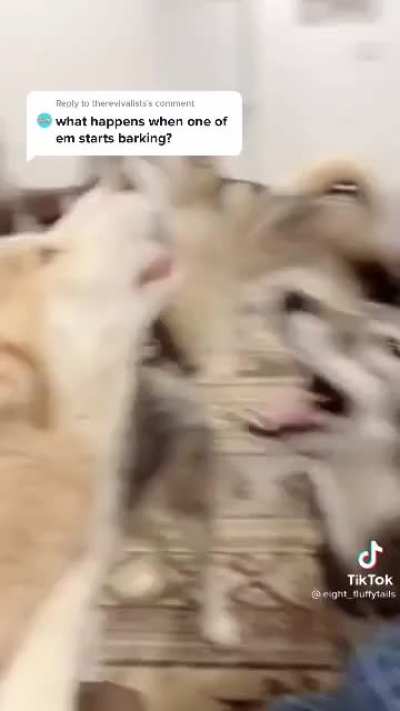 Auuuuuu