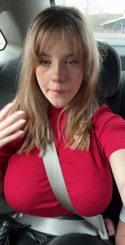Seatbelt Bust