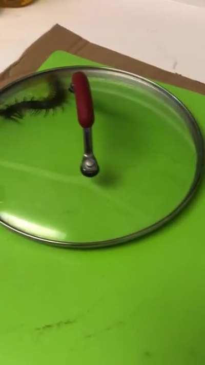 I&rsquo;m just waiting for it to escape