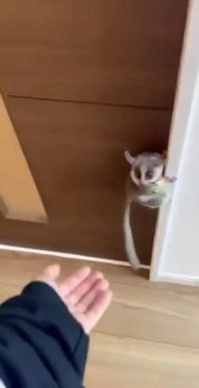 Super cute