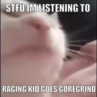 Stfu I&rsquo;m listening to