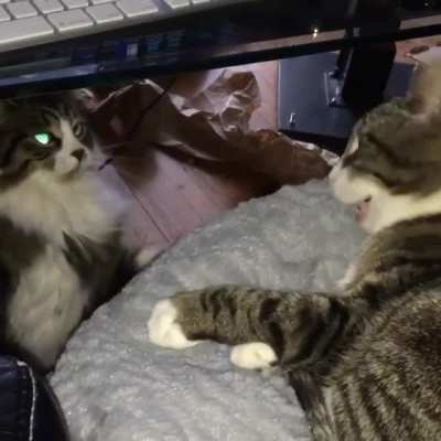 Oh good, you're awake