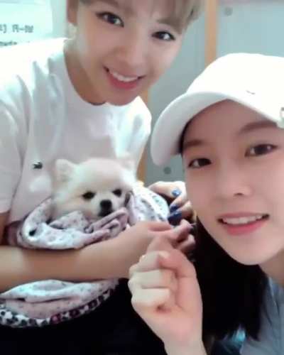 Jeongyeon &amp;amp; Seungyeon