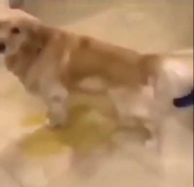 Hes pissing