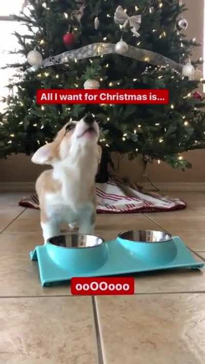 All i want for Christmas is ...