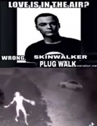 butt plug
