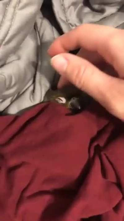 Bed time!