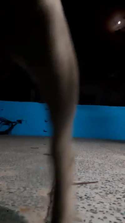 Was recording a trickshot with my basketball in slippers
