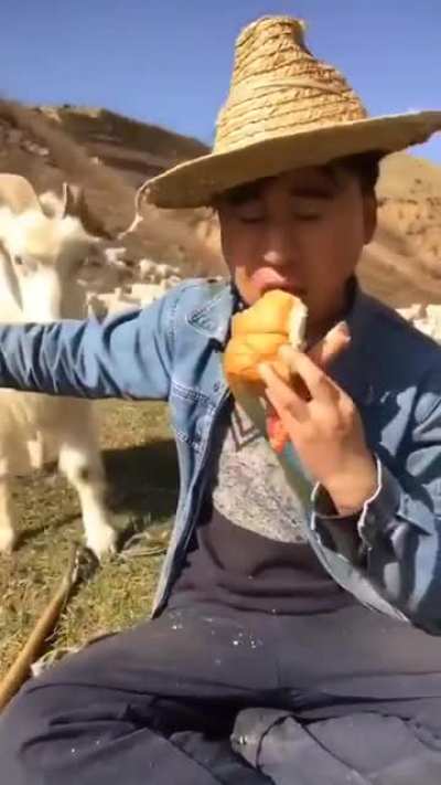 Eating in a field