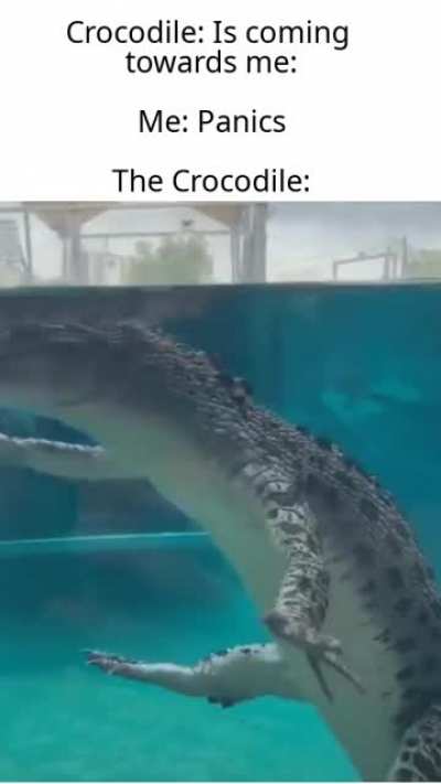 Crocodiles are scary