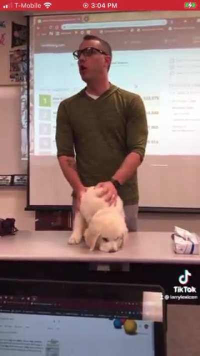 I just crosspost here for karma