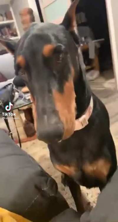 Pra que tanta viol&ecirc;ncia?
