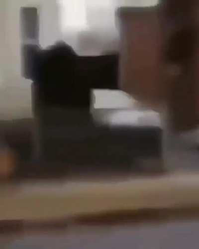 Bonk