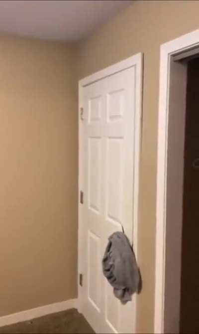Just a door