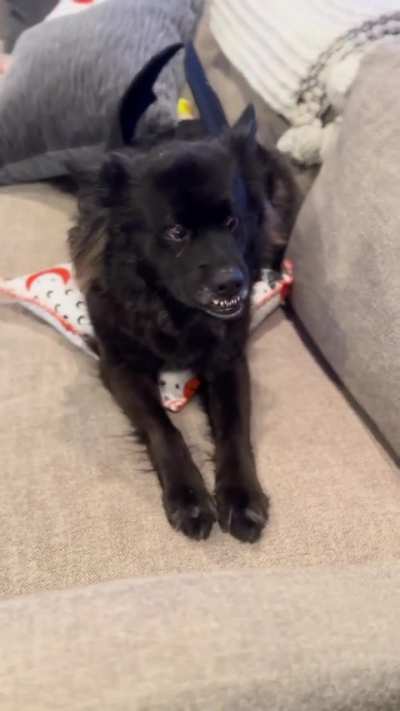 Get my good side