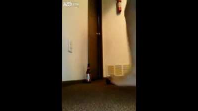 Fart Humor