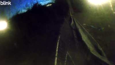 Video from my backyard