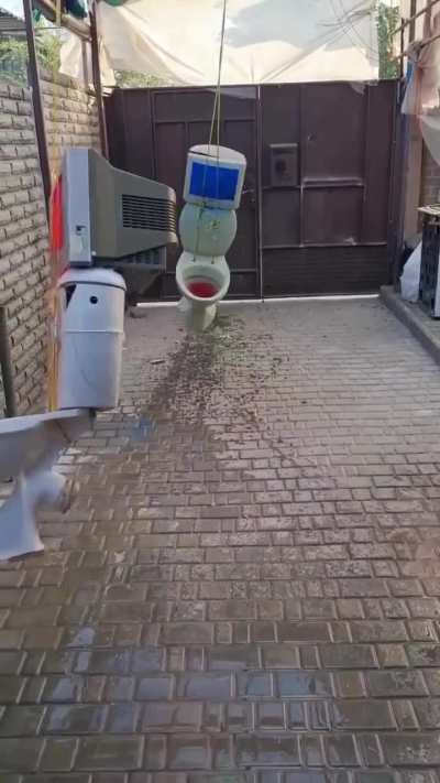 Toilet battle...oh noooo oh noooooooo oh nooooooooo