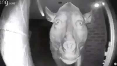 Cursed_Visitor