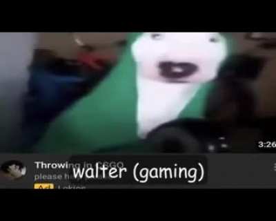 gallieo intro
