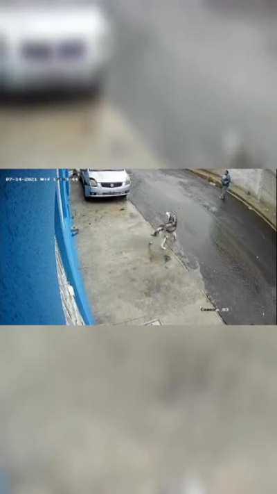 Perro madrazo pt2 en otro &aacute;ngulo como en la lucha libre