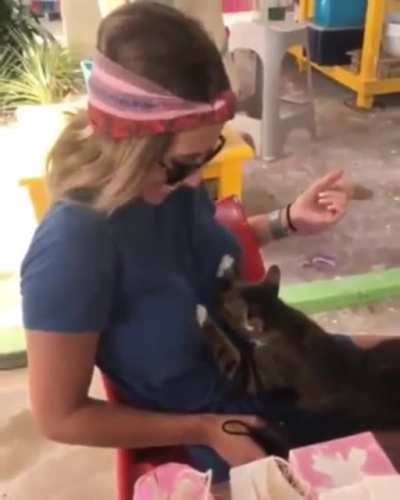 Kitty knows