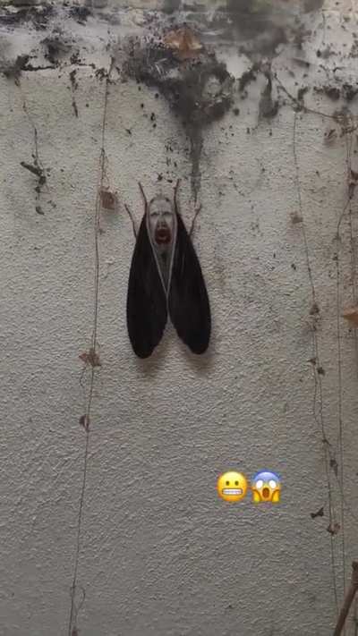 Hmmm