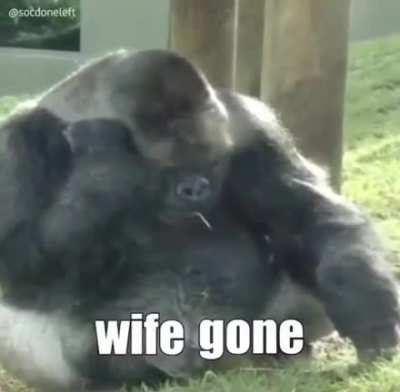 Ride wife