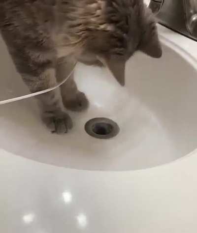 Expert Plumber