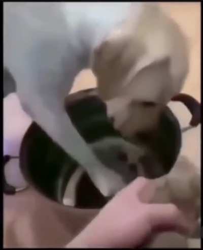 no.. stop......