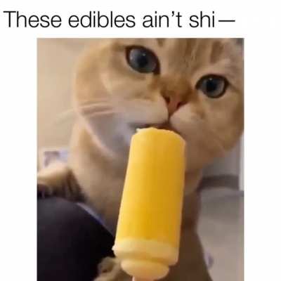 big lick energy