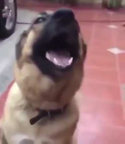 frien :v