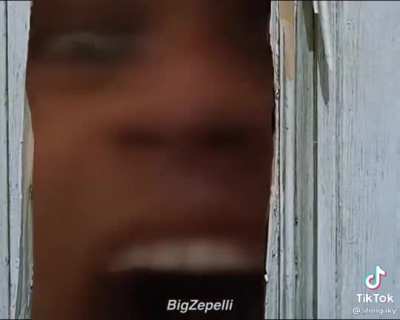 xd