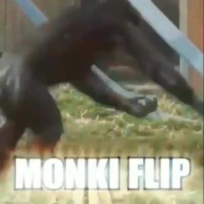 MONKI FLIP