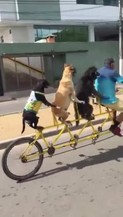Bike club riding in the city