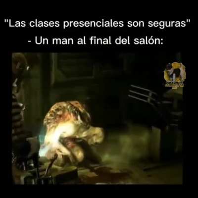 :"v
