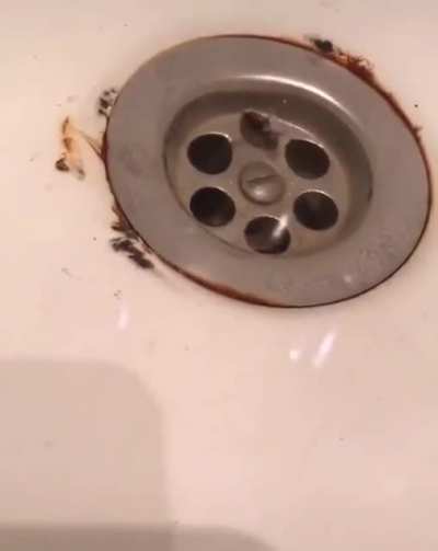Posting random videos from my phone until I buy a new home button - day 71